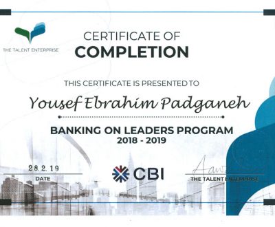 2019-02-YOUSEF-PADGANEH-BANKING-LEADERSHIP